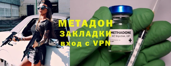 прущие грибы Каменногорск
