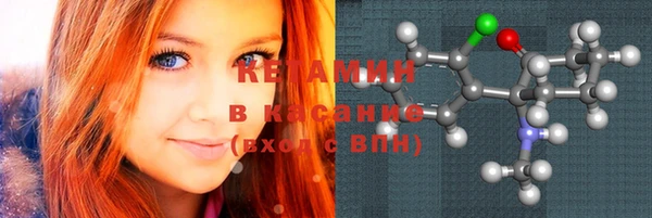 прущие грибы Каменногорск
