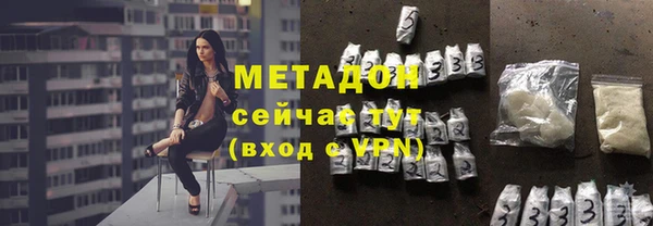 прущие грибы Каменногорск