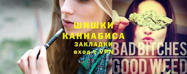 хмурый Каменка