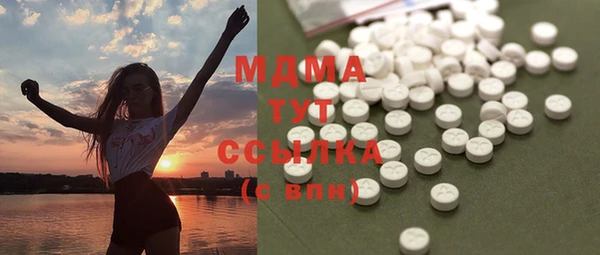 хмурый Каменка