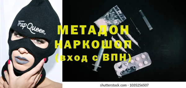 прущие грибы Каменногорск
