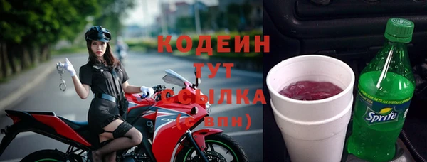 прущие грибы Каменногорск