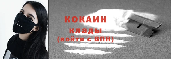 прущие грибы Каменногорск