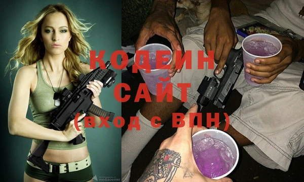 прущие грибы Каменногорск