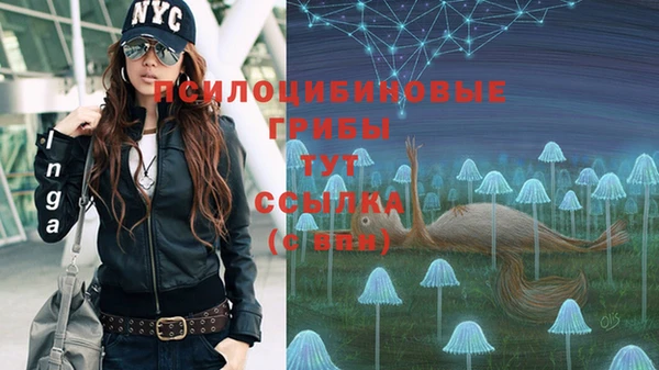 МДМА Каменск-Шахтинский