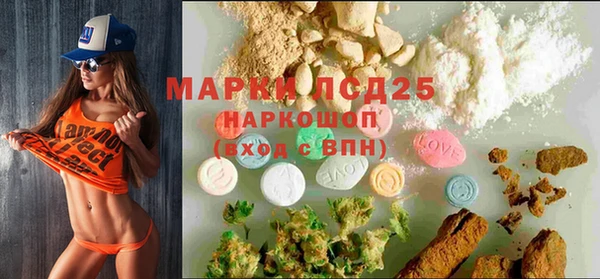 прущие грибы Каменногорск