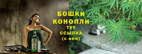 прущие грибы Каменногорск