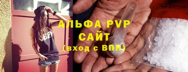 хмурый Каменка