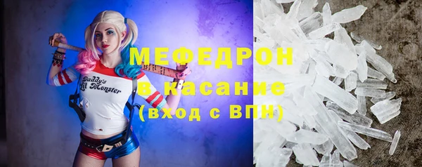 прущие грибы Каменногорск