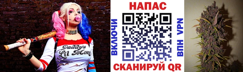 Купить  Козловка  Бошки Шишки Bruce Banner 